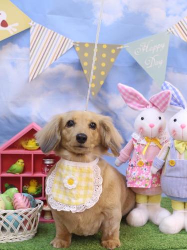 20240303モカちゃん